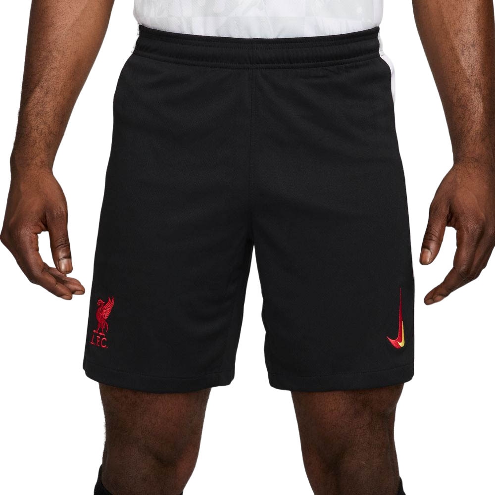 Nike Liverpool FC Fotballshorts 24/25 Tredje