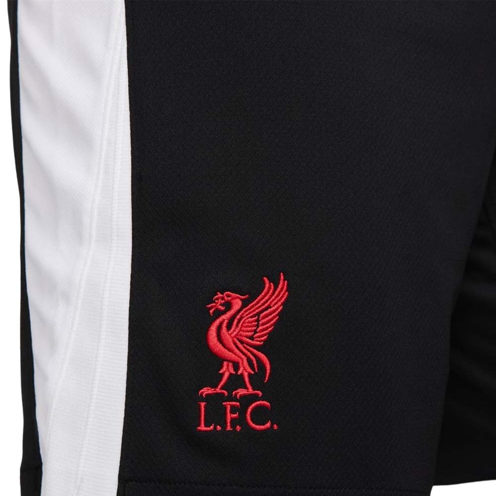 Nike Liverpool FC Fotballshorts 24/25 Tredje