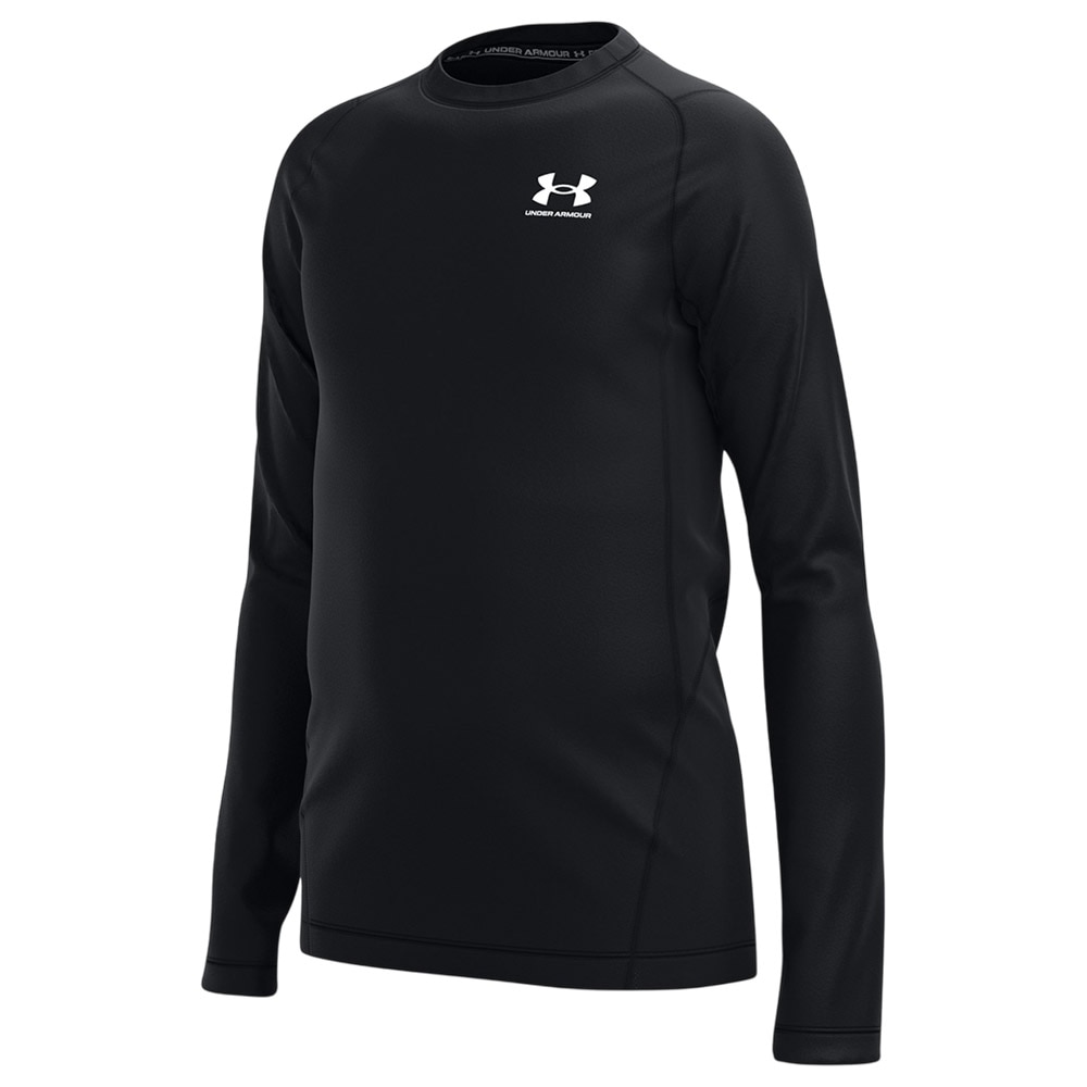 Under Armour ColdGear® Baselayer Barn Sort