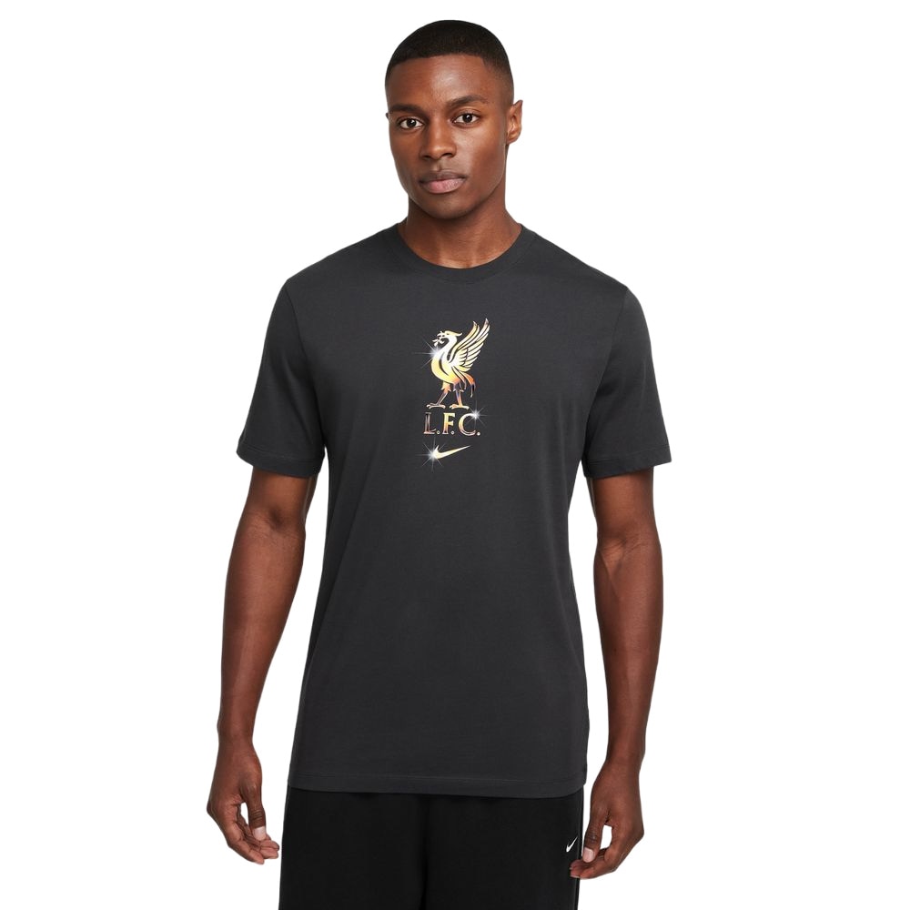 Nike Liverpool FC Crest T-Skjorte Grå 