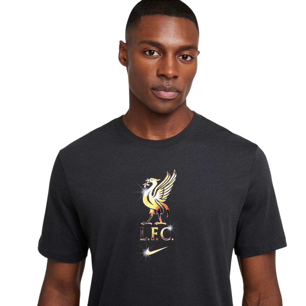 Nike Liverpool FC Crest T-Skjorte Grå 