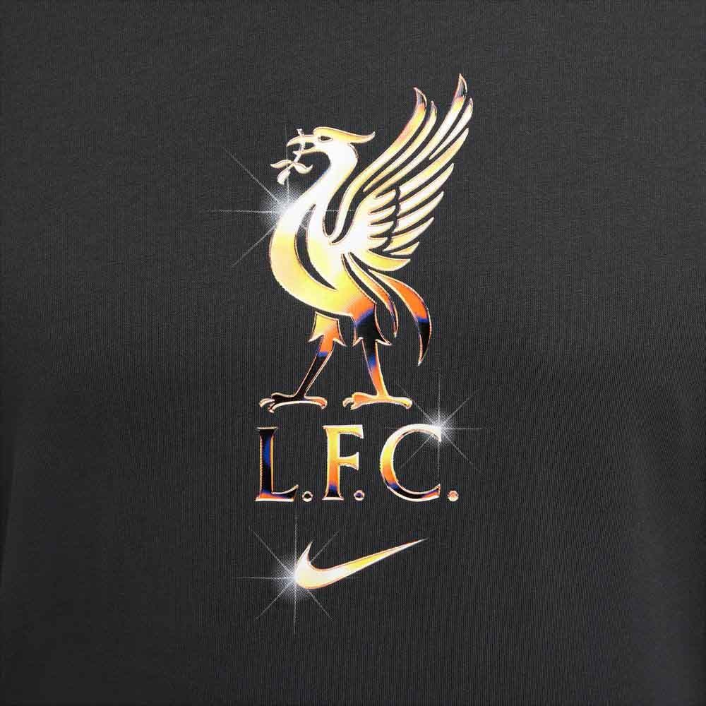 Nike Liverpool FC Crest T-Skjorte Grå 