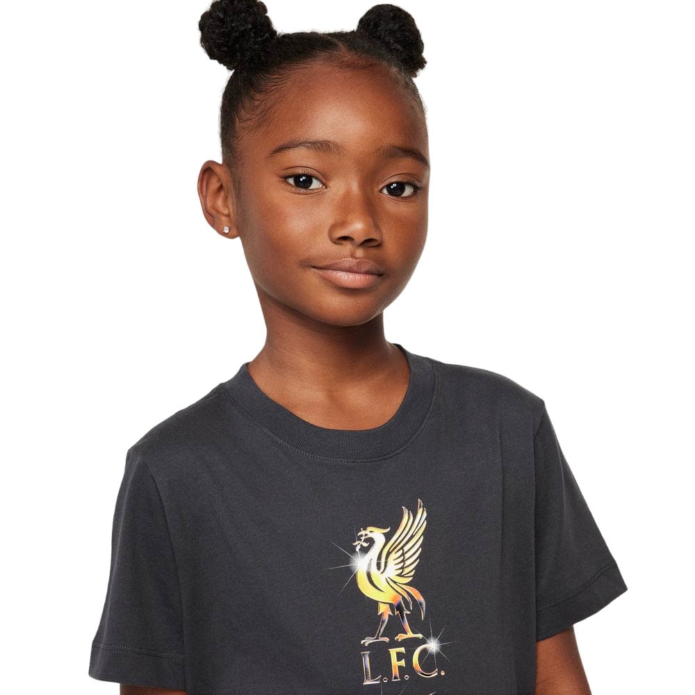 Nike Liverpool FC Crest T-Skjorte Barn Grå