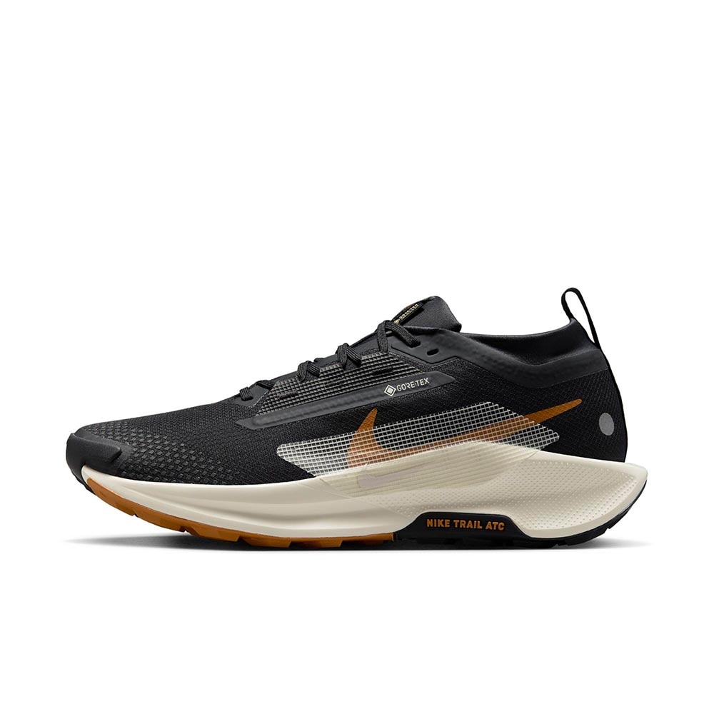 Nike Pegasus Trail 5 GORE-TEX Joggesko Herre Sort/Bronse