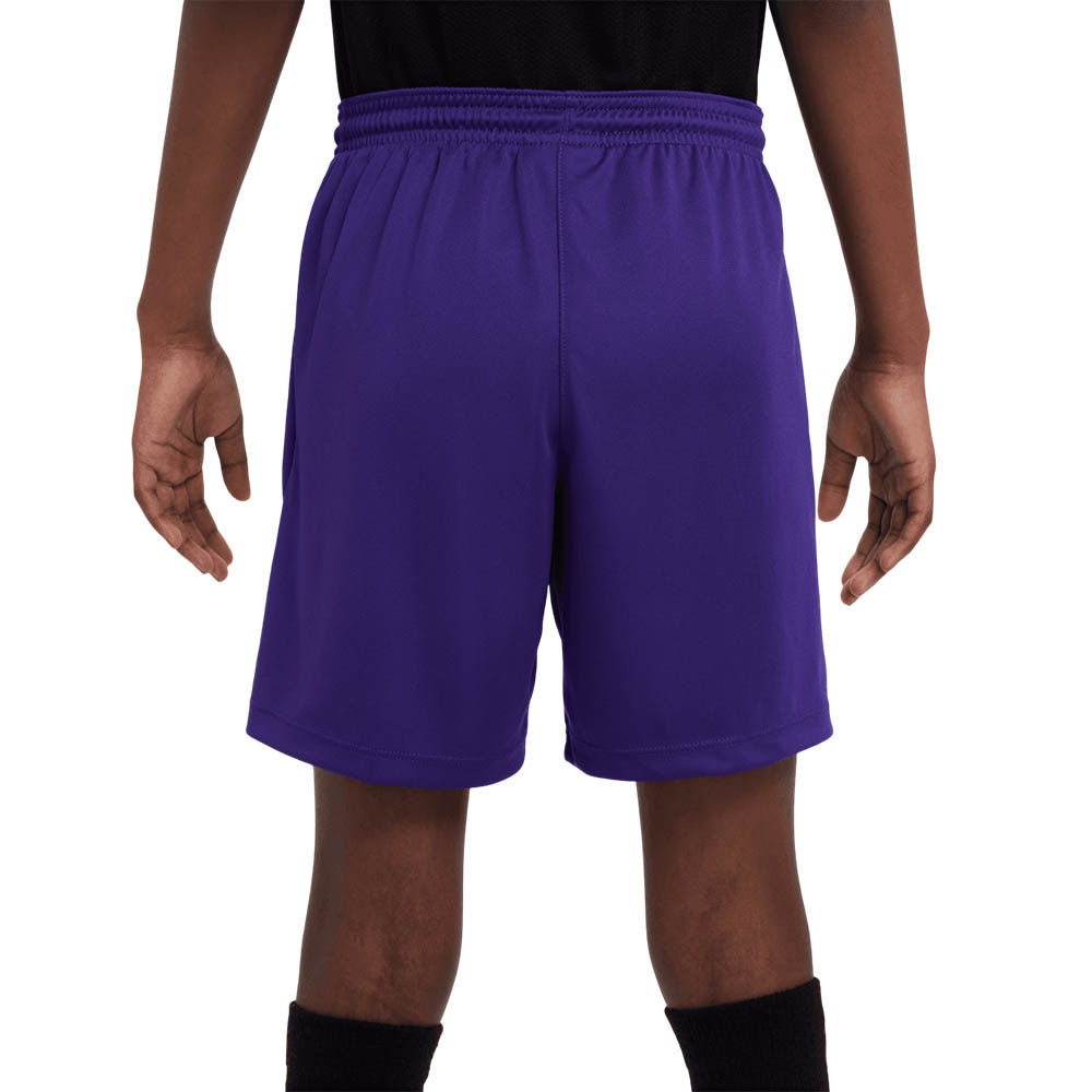 Nike Fyllingsdalen Treningsshorts Barn Lilla