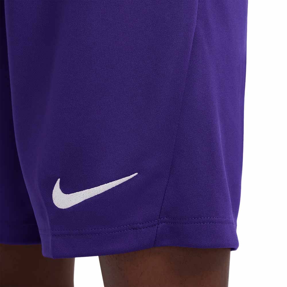 Nike Fyllingsdalen Treningsshorts Barn Lilla