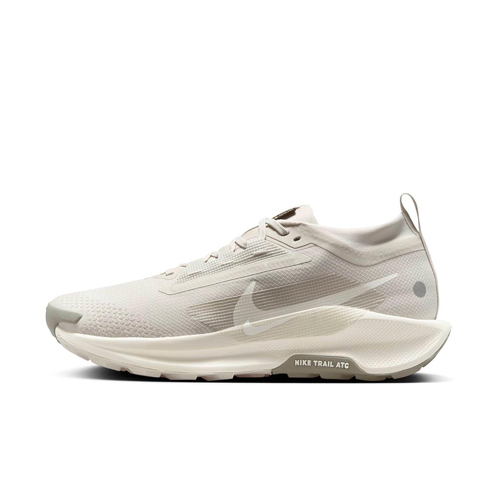 Nike Pegasus Trail 5 GORE-TEX Joggesko Herre Beige