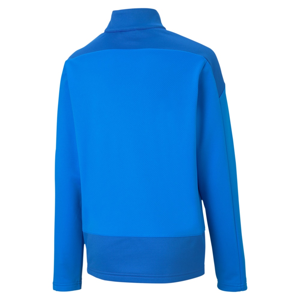 Puma teamGOAL 1/4 Zip Fotballgenser Barn Blå