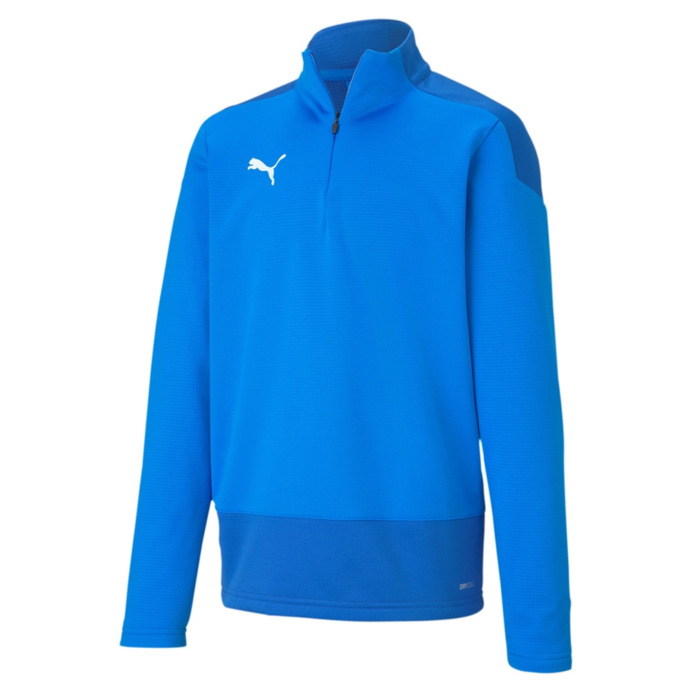 Puma teamGOAL 1/4 Zip Fotballgenser Barn Blå