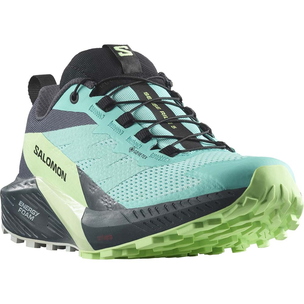 Salomon Sense Ride 5 Gore-Tex Joggesko Dame Turkis/Marine