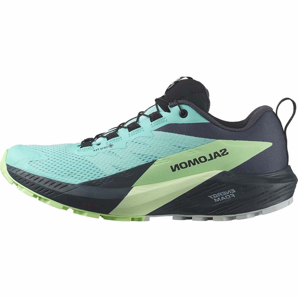 Salomon Sense Ride 5 Gore-Tex Joggesko Dame Turkis/Marine